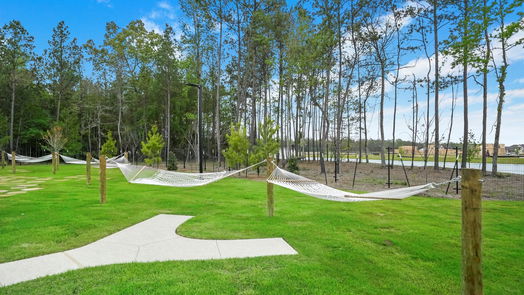 Conroe 2-story, 4-bed 15747 Rosemary Hill Lane-idx