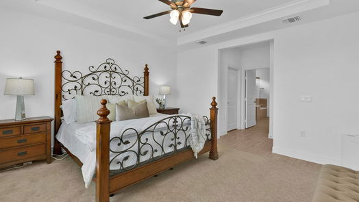 Fulshear 1-story, 3-bed 7426 Rolling Stone Drive-idx