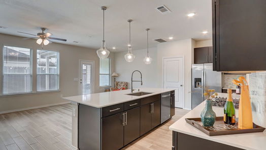 Houston 2-story, 3-bed 10507 Harmon Smith Drive-idx