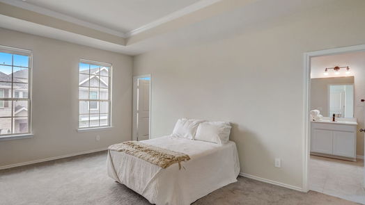 Houston 2-story, 3-bed 10507 Harmon Smith Drive-idx