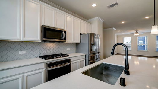 Houston 3-story, 4-bed 3413 Avondale View Drive-idx