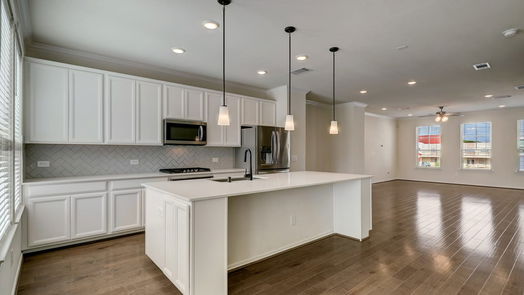 Houston 3-story, 4-bed 3413 Avondale View Drive-idx