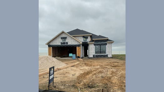 Manvel 1-story, 4-bed 6114 Lush Pasture Lane-idx