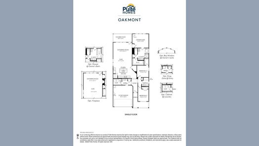 Manvel 1-story, 3-bed 19111 Pink Grapefruit Street-idx