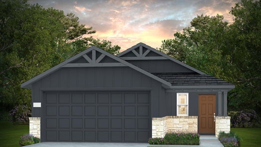 Montgomery null-story, 3-bed 170 Longhorn Run Drive-idx
