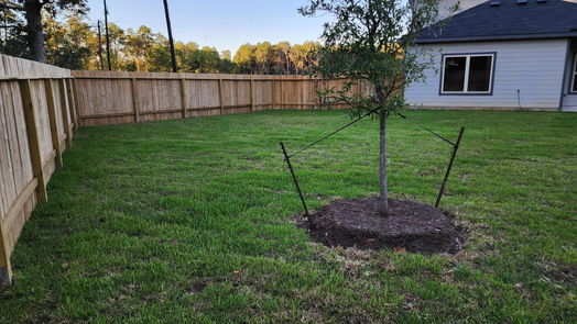 Conroe 2-story, 4-bed 2604 Shady Cedar Court-idx