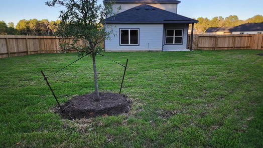 Conroe 2-story, 4-bed 2604 Shady Cedar Court-idx