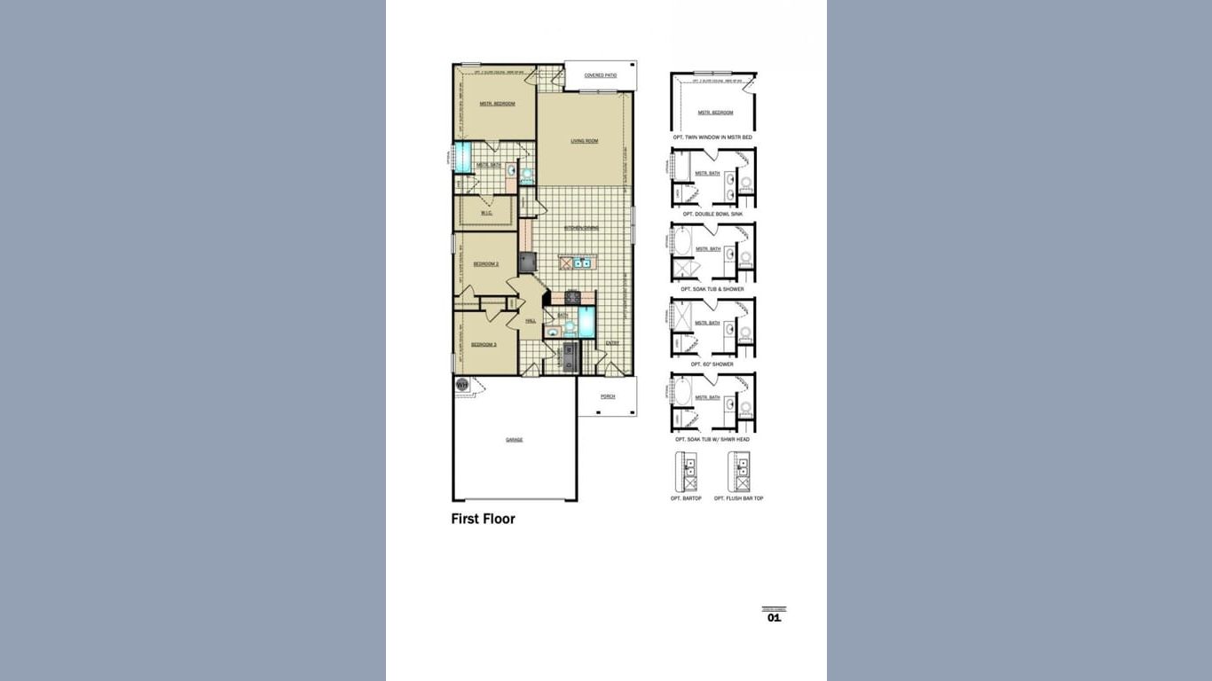 Houston 1-story, 3-bed 10611 Lavender Cotton-idx