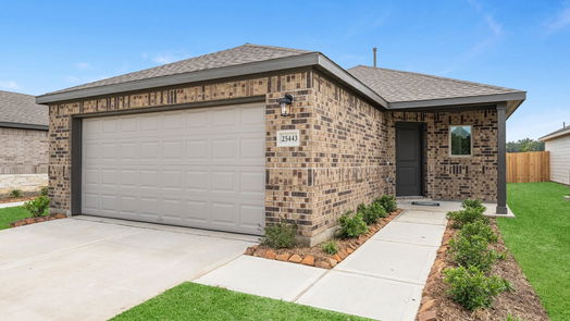 Montgomery 1-story, 4-bed 25545 Blossom Court-idx