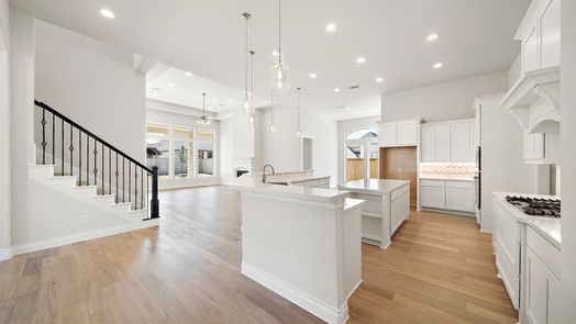 Cypress null-story, 5-bed 21219 Painted Lady Drive-idx