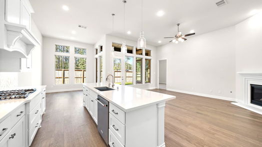 Porter 1-story, 4-bed 8247 Mount Washburn Lane-idx