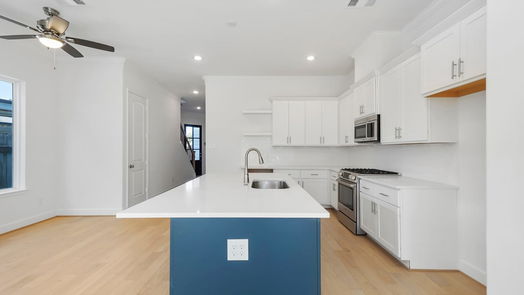 Houston 2-story, 3-bed 622 E 26th Street-idx