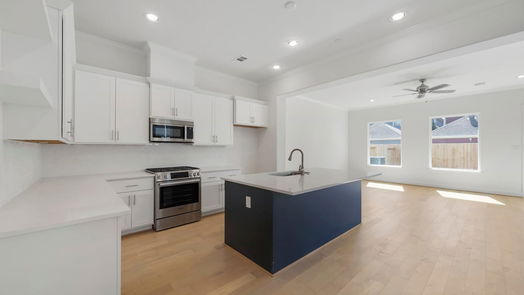 Houston 2-story, 3-bed 622 E 26th Street-idx