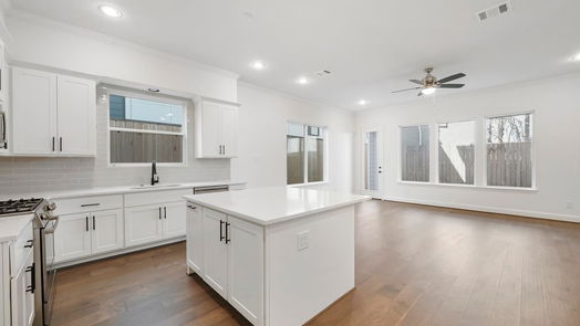 Houston 3-story, 4-bed 1526 Indiana Street-idx