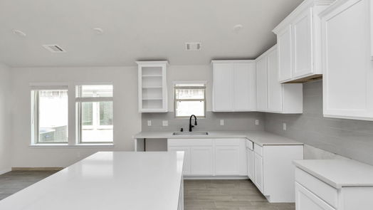 Alvin 1-story, 3-bed 241 Eagleville Drive-idx