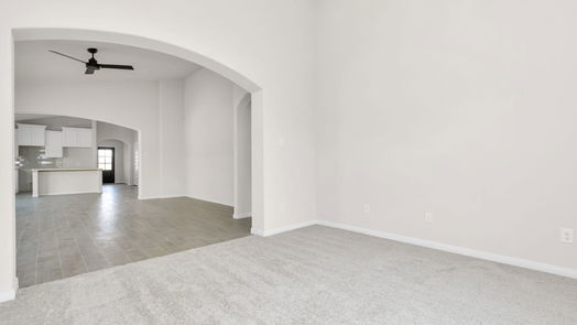 Alvin 1-story, 3-bed 241 Eagleville Drive-idx