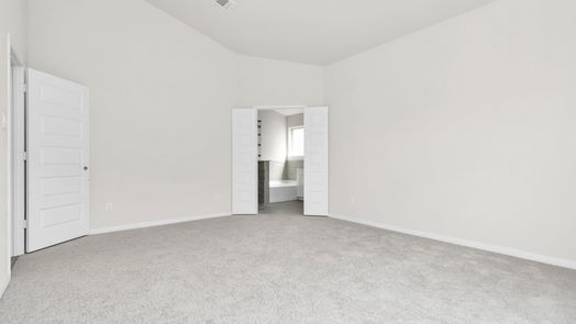 Alvin 1-story, 3-bed 241 Eagleville Drive-idx