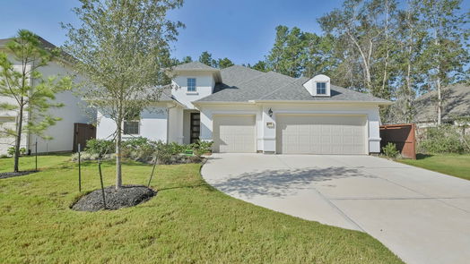 Conroe 1-story, 4-bed 16138 Rustling Woods Road-idx