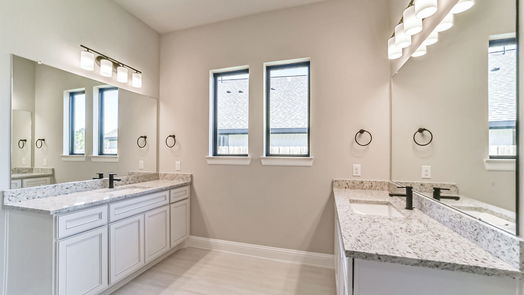 Conroe 1-story, 3-bed 13067 Soaring Forest Drive-idx