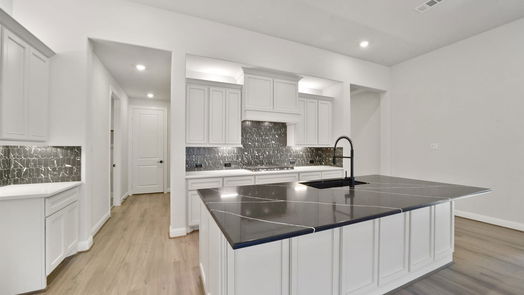 Conroe null-story, 4-bed 16110 Rustling Woods Court-idx