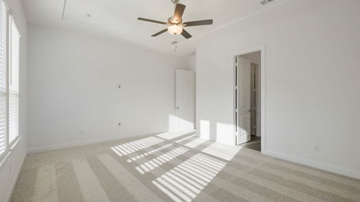 Conroe null-story, 4-bed 16006 Ruby Laurel Court-idx