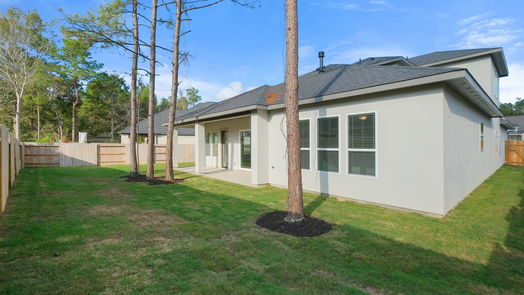 Conroe null-story, 4-bed 16006 Ruby Laurel Court-idx