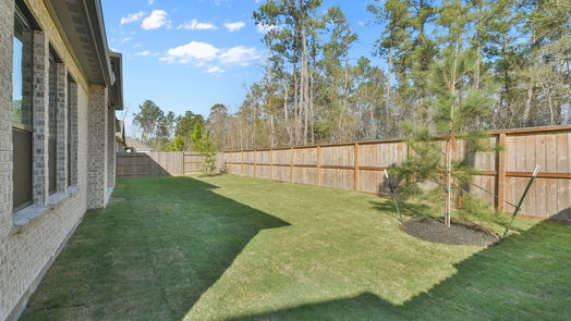 Conroe 2-story, 4-bed 12981 Whitewater Way-idx