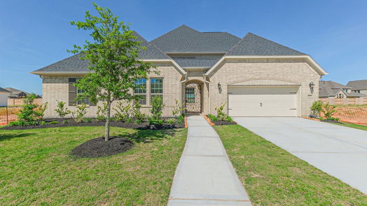 Manvel null-story, 4-bed 5231 Aster Ridge Lane-idx