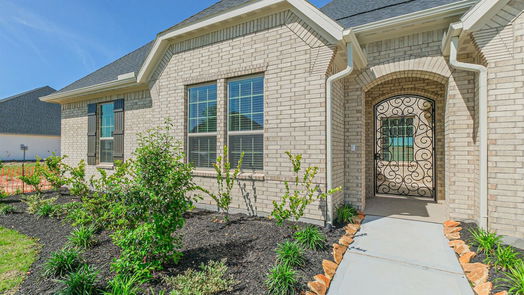 Manvel null-story, 4-bed 5231 Aster Ridge Lane-idx