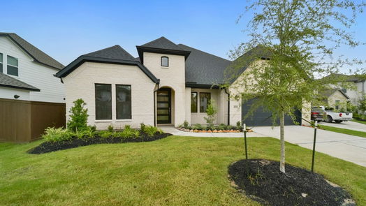 Manvel null-story, 4-bed 4314 Golden Ridge Circle-idx