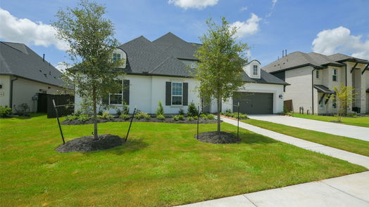 Manvel null-story, 4-bed 5210 Aster Ridge Lane-idx