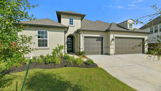 Manvel 1-story, 4-bed 4307 Golden Ridge Circle-idx