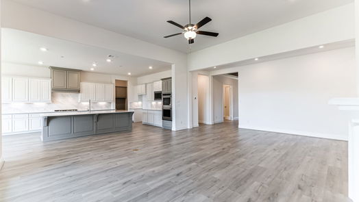 Manvel 1-story, 4-bed 5223 Aster Ridge Lane-idx