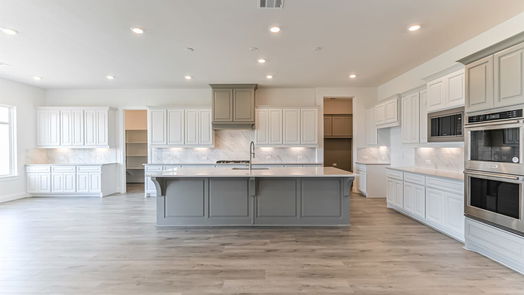 Manvel 1-story, 4-bed 5223 Aster Ridge Lane-idx