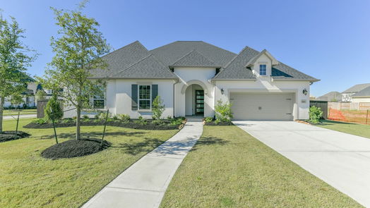 Manvel 1-story, 4-bed 5223 Aster Ridge Lane-idx