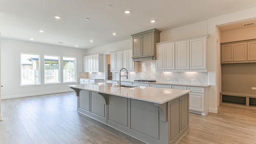 Manvel 1-story, 4-bed 5223 Aster Ridge Lane-idx