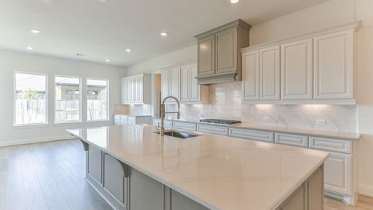 Manvel 1-story, 4-bed 5223 Aster Ridge Lane-idx