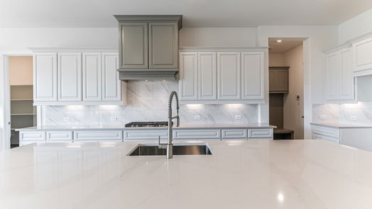 Manvel 1-story, 4-bed 5223 Aster Ridge Lane-idx