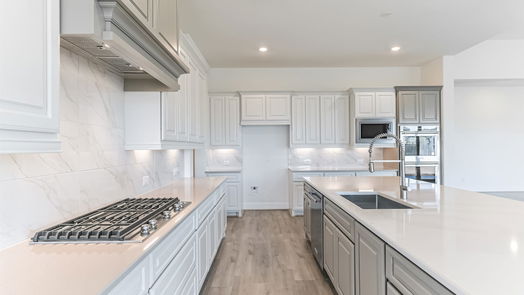 Manvel 1-story, 4-bed 5223 Aster Ridge Lane-idx