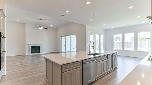 Manvel 1-story, 4-bed 5223 Aster Ridge Lane-idx