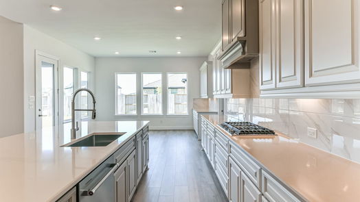 Manvel 1-story, 4-bed 5223 Aster Ridge Lane-idx
