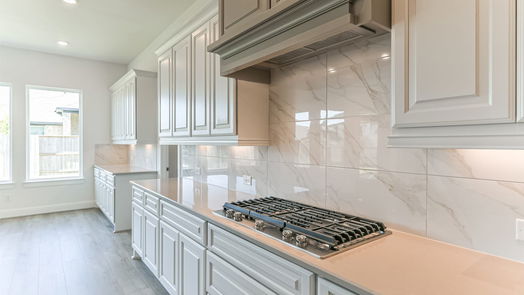 Manvel 1-story, 4-bed 5223 Aster Ridge Lane-idx