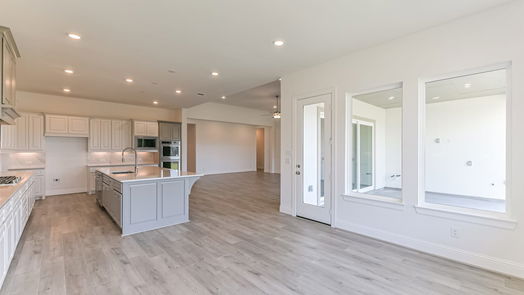 Manvel 1-story, 4-bed 5223 Aster Ridge Lane-idx