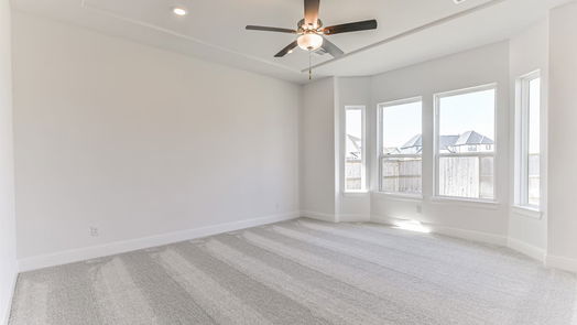 Manvel 1-story, 4-bed 5223 Aster Ridge Lane-idx