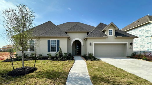 Manvel 1-story, 4-bed 8914 Sierra Nevada Drive-idx