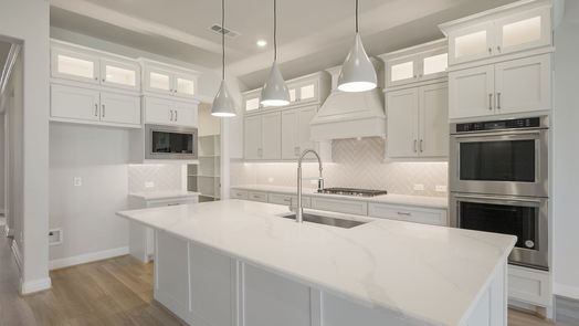 Missouri City null-story, 4-bed 1206 Berry Brook Drive-idx