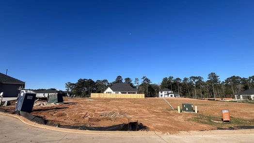 Magnolia 1-story, 4-bed 406 Arctic Warbler Court-idx