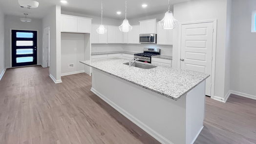 Magnolia 1-story, 4-bed 10217 Longhorn Ridge Court-idx