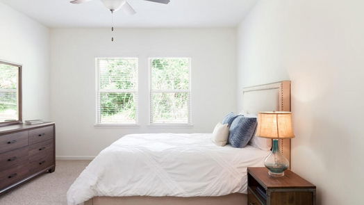 New Caney 1-story, 3-bed 14775 Peaceful Way-idx