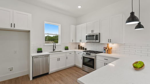 Houston 3-story, 3-bed 1207 Cavalcade Street G-idx